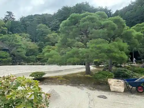 慈照寺（慈照禅寺・銀閣寺）(京都府)