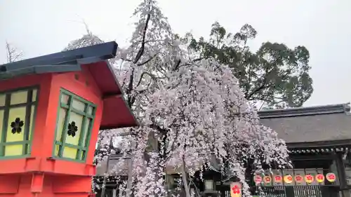 平野神社の庭園