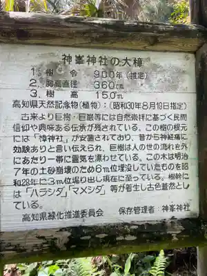 神峯神社(高知県)