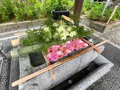 白山神社(新潟県)