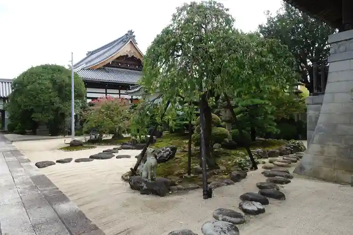 養泉寺の庭園