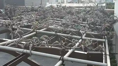 西方山極楽寺(岐阜県)