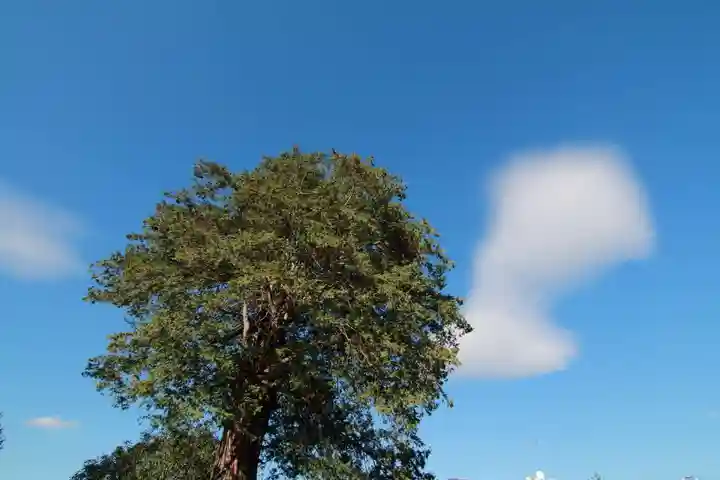 豊景神社の自然