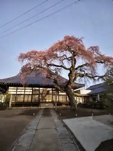 相応寺(福島県)