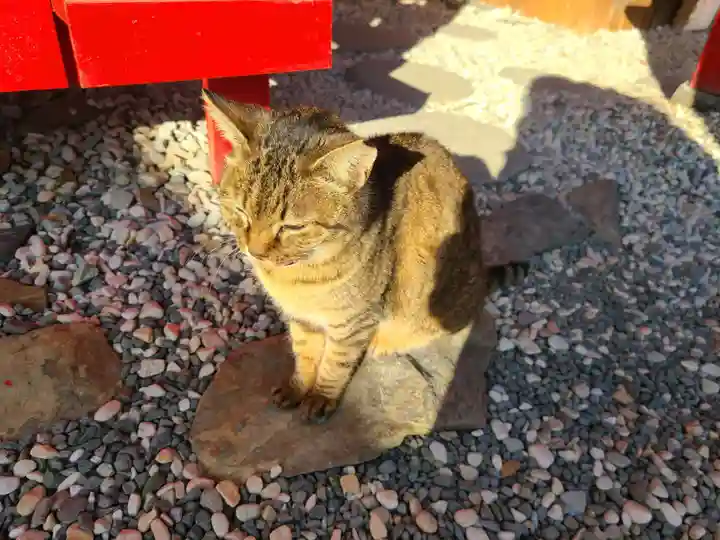宝来宝来神社(熊本県)