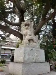 上高田氷川神社の狛犬