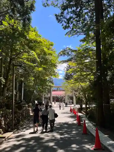 三峯神社(埼玉県)