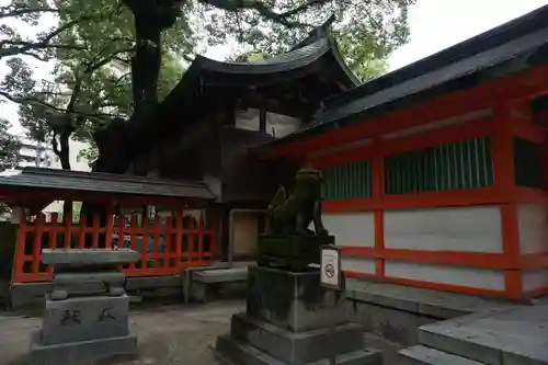 住吉神社の狛犬