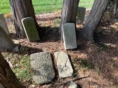 ネズミ観音(栃木県)