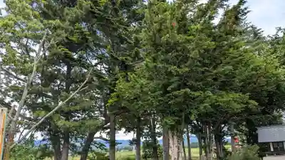 平和神社の自然