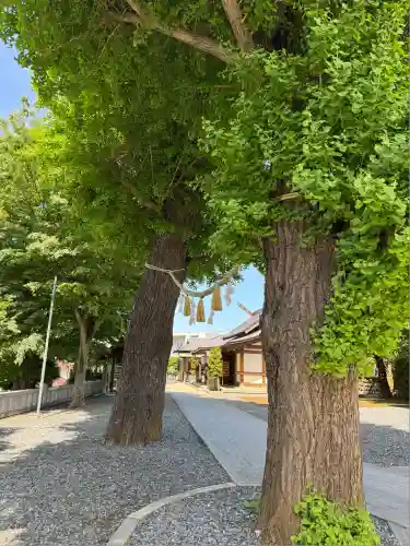 代田八幡神社(東京都)