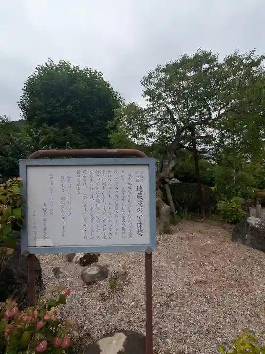 地蔵院(東京都)