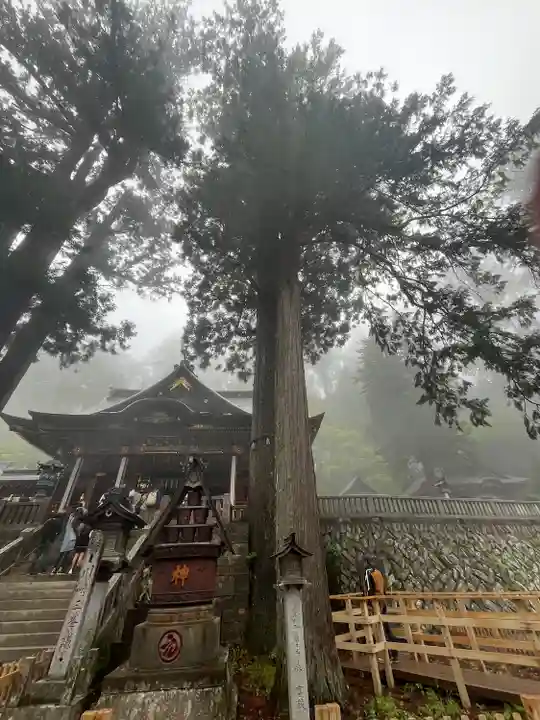 三峯神社(埼玉県)