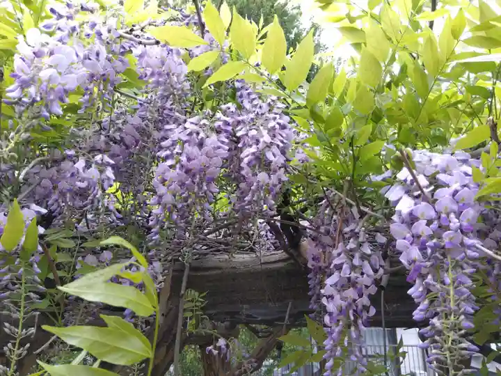 稲荷神社(福井県)