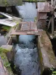 淺間神社（忍野八海）の自然