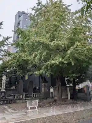 観音寺(東京都)