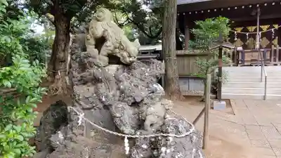白幡神社の狛犬