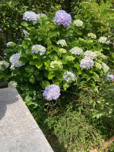 安立寺(神奈川県)