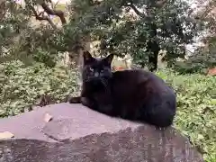 住吉大社の動物