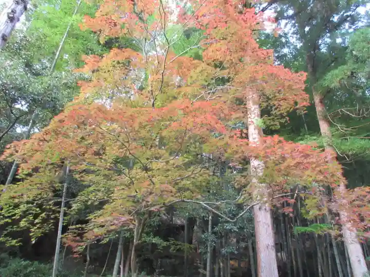 今熊野観音寺(京都府)