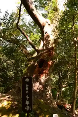 文殊仙寺(大分県)