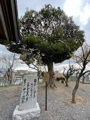 梅安天満宮の自然