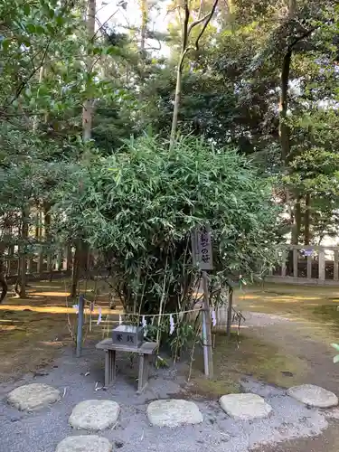 常陸第三宮　吉田神社の自然
