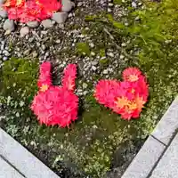 彌彦神社 (伊夜日子神社)(北海道)