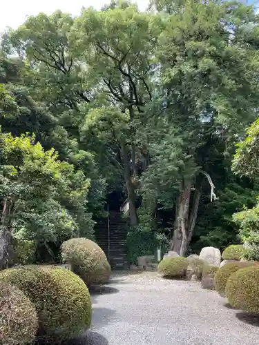 大興寺(香川県)