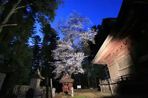 田村神社の庭園