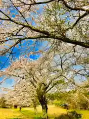 鹿嶋神社の自然