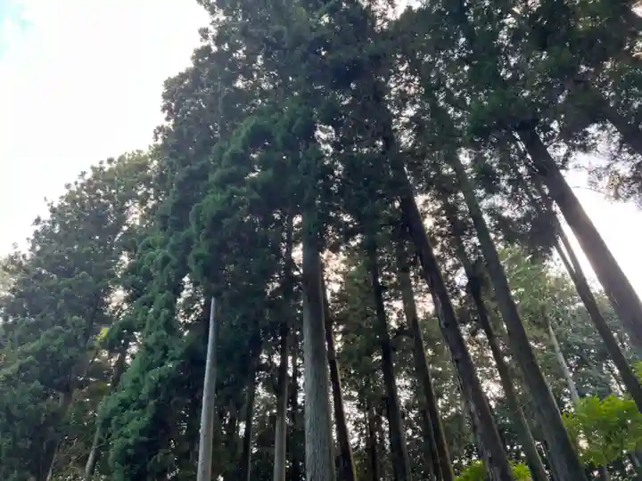 大宮温泉神社の自然