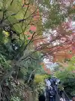 長谷寺(神奈川県)