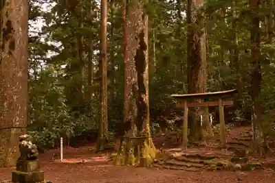 杉原神社(高知県)