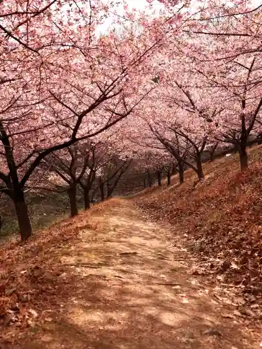 妙義神社(群馬県)