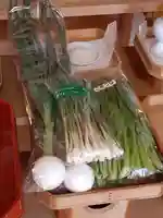 伏木香取神社(茨城県)