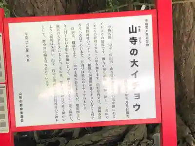 宝珠山 立石寺(山形県)