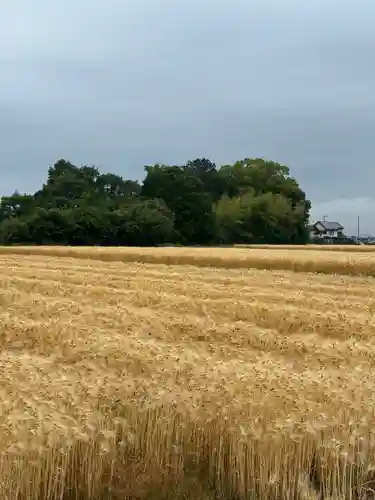 高繁大明神(稲荷)(兵庫県)