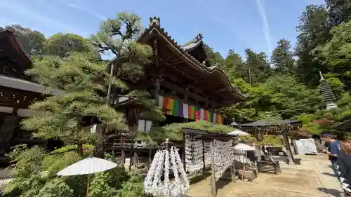 岡寺（龍蓋寺）の{uncategorized: "未分類", other: "その他", undefined: "問題あり", building: "その他建物", grave: "お墓", sacred_gate: "鳥居", guardian: "狛犬", statue: "像", buddha: "仏像", history: "歴史", nature: "自然", garden: "庭園", animal: "動物", pagoda: "塔", temizu: "手水舎", mountain_gate: "山門・神門", sanctuary: "本殿・本堂", subordinate: "末社・摂社", art: "芸術", scenery: "景色", jizo: "地蔵", ema: "絵馬", goshuin: "御朱印", omikuji: "おみくじ", items: "授与品その他", amulet: "お守り", goshuincho: "御朱印帳", eats: "食事", festival: "お祭り", votive_dance: "神楽", shichigosan: "七五三参", wedding: "結婚式", experience: "体験その他", initially: "初詣", around: "周辺", anti_infection: "感染症対策"}