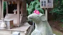 大豊神社の狛犬