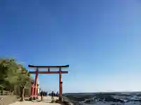 青島神社(青島神宮)の自然