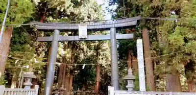 北口本宮冨士浅間神社の鳥居