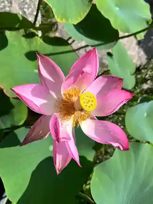 西方院(大阪府)