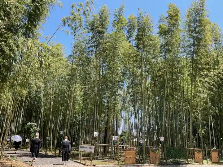 興禅寺(愛知県)