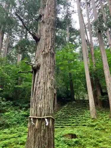 平泉寺白山神社(福井県)