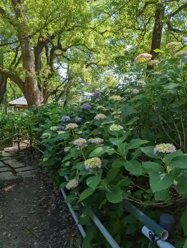 藤森神社(京都府)