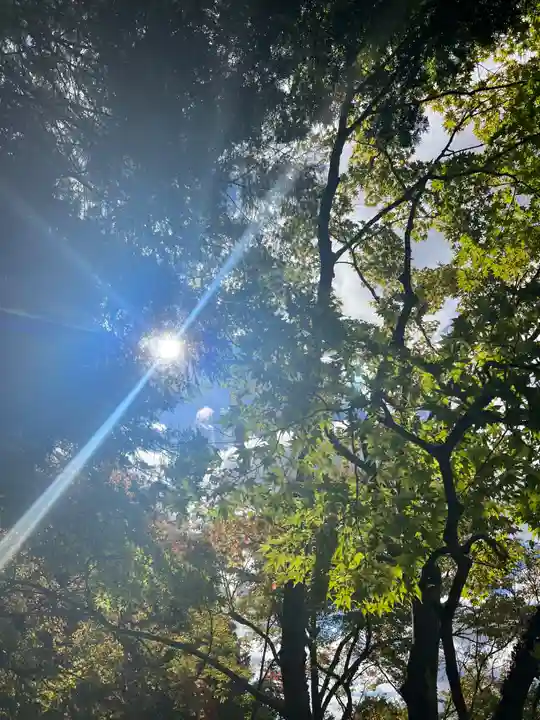 慈照寺(慈照禅寺・銀閣寺)(京都府)