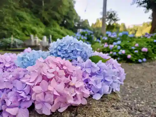 壽徳寺 じゅとくじの庭園