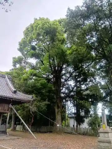 多賀神社(岐阜県)