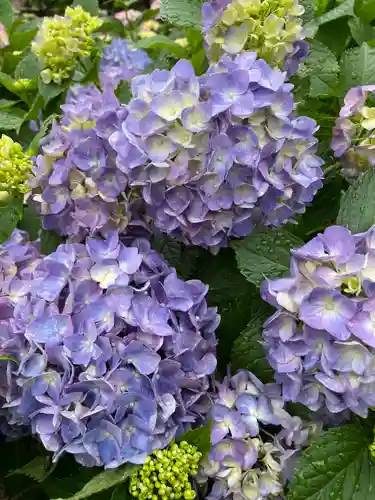 白山神社の自然